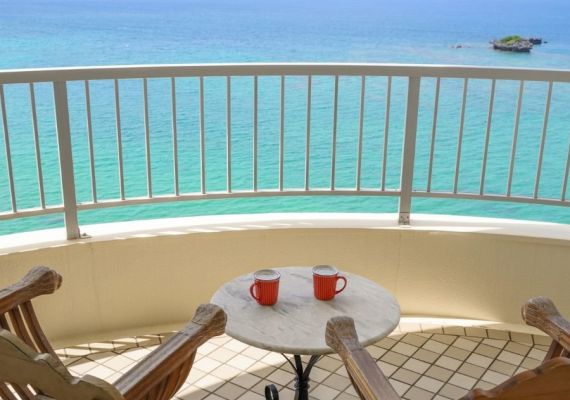 スーペリアルーム（レッド）　眺望