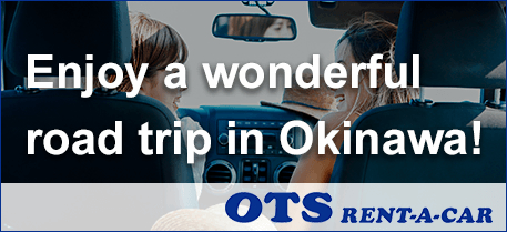 OTS rental car