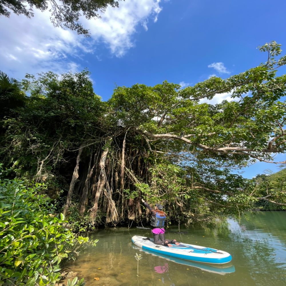 沖繩/嘉手納【首次SUP體驗+紅樹林觀察】雙倍樂趣！ 河流SUP之旅《6歲以上即可參加，免費拍攝數據，免費租用手機殼，提供熱水淋浴》