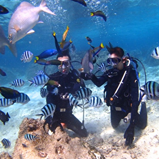 First-timers are welcome! Experience diving at the spot with the highest coral abundance in Onna Village, providing high visibility!!