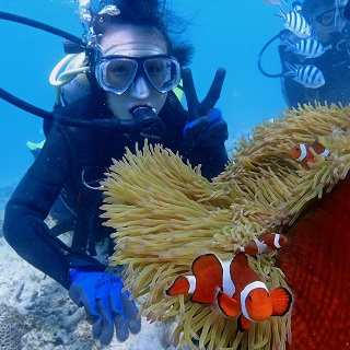 Learn with a professional instructor! Watch the famous clown fish!! A diving experience by boat!!