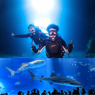 防寒対策万全！！美ら海水族館チケットと青の洞窟体験ダイビングセット！！