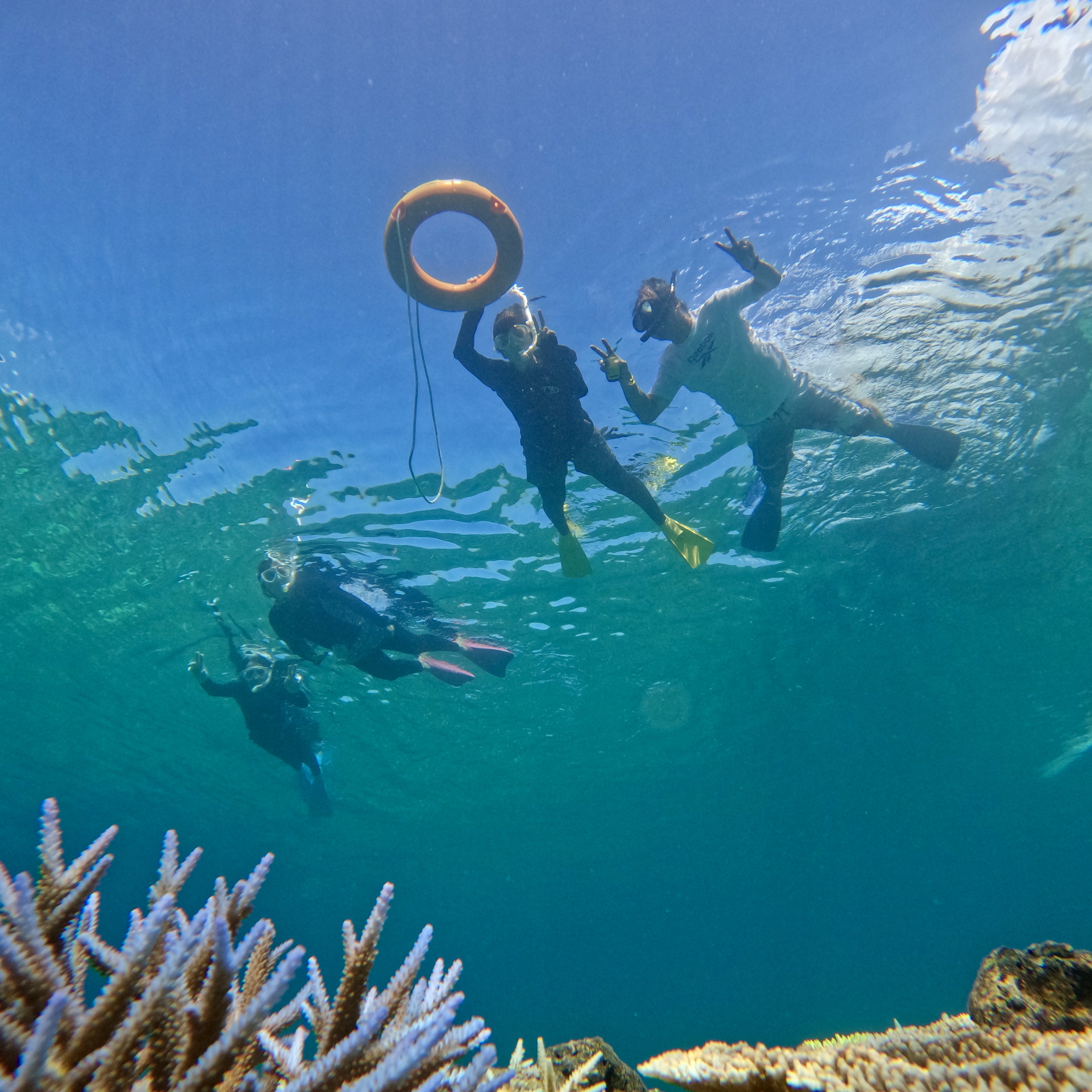 【Ishigaki island】Face with manta ray during this diving experience 