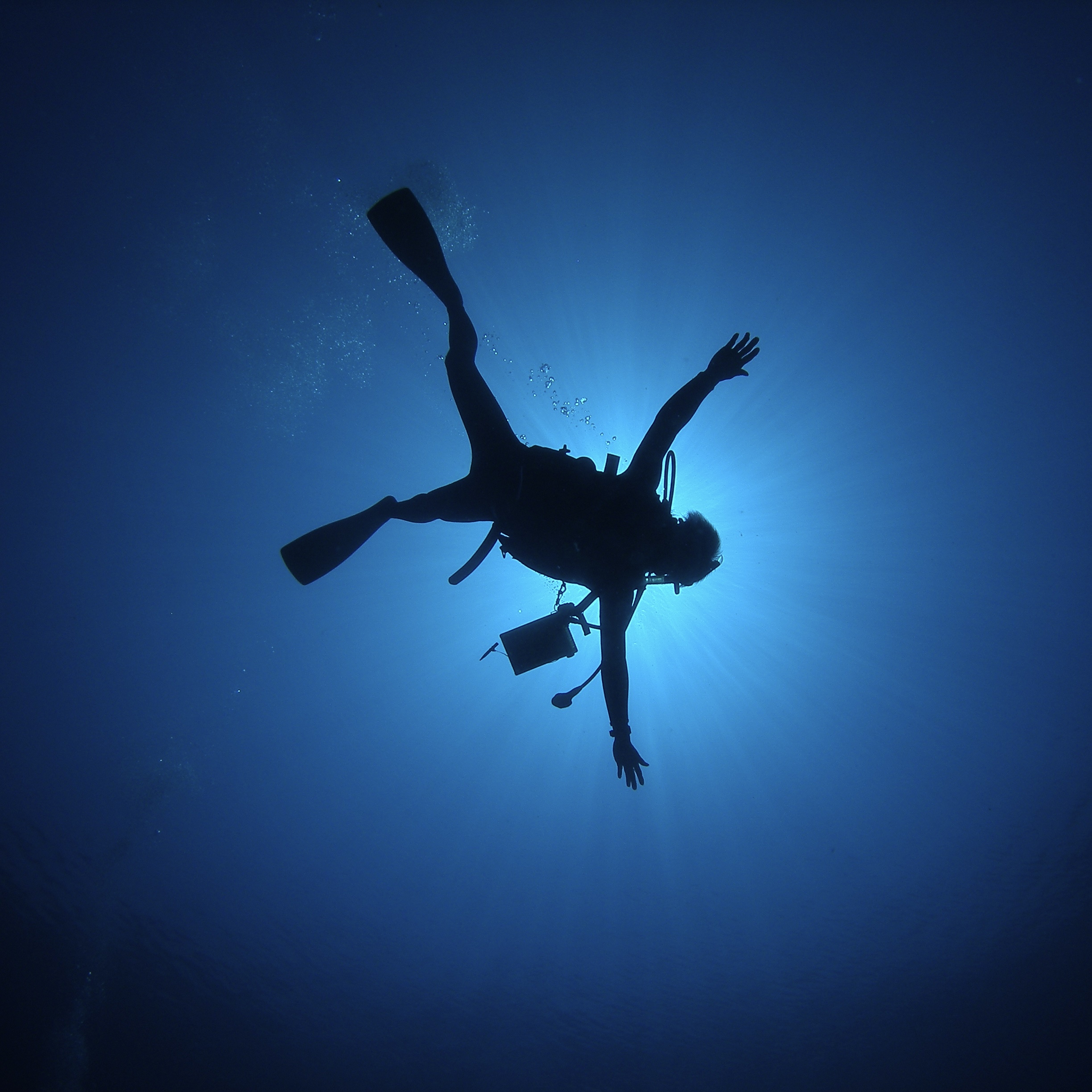【Ishigaki island】Fun diving from the boat 