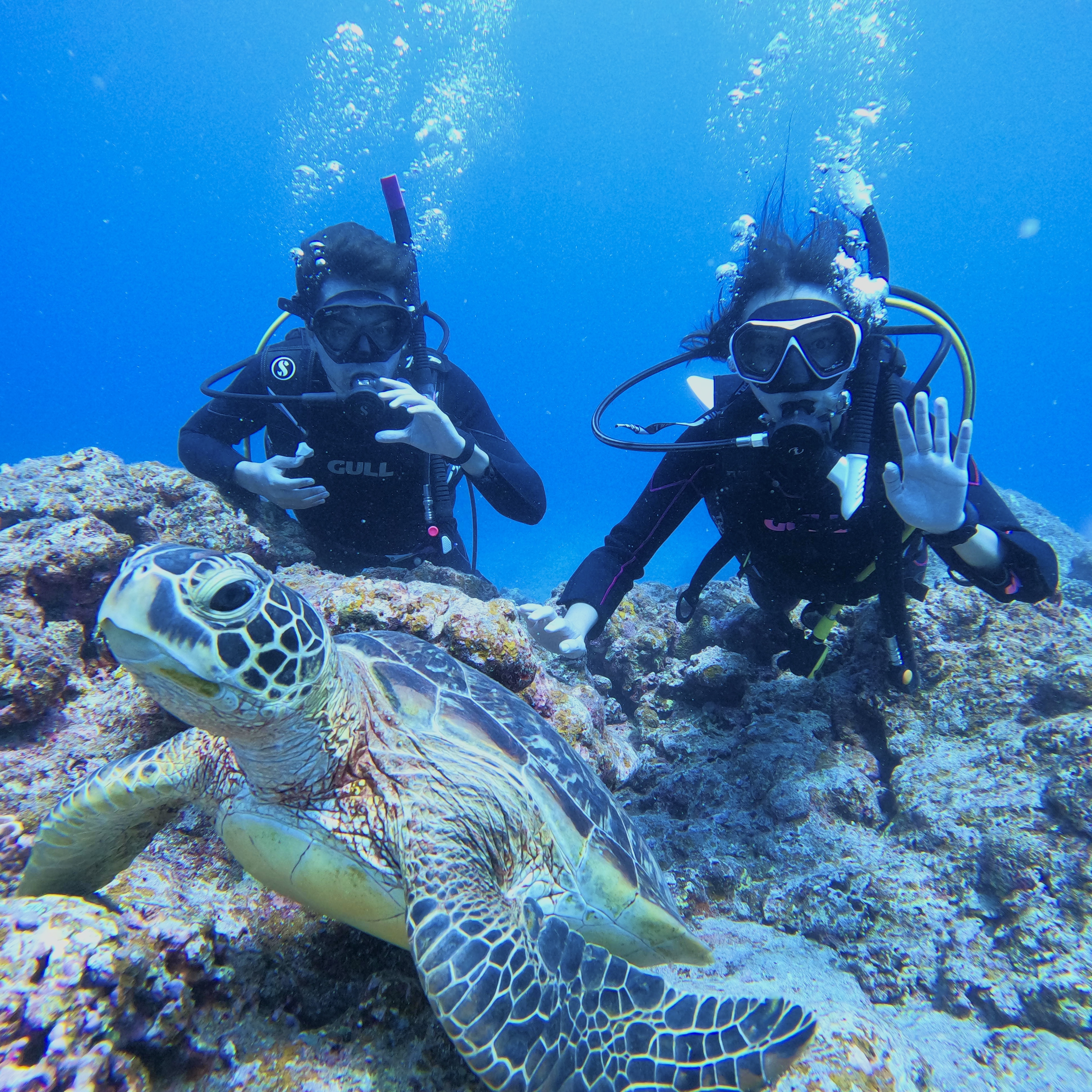 【Ishigaki island】Wonderful half-day diving in East China Sea 