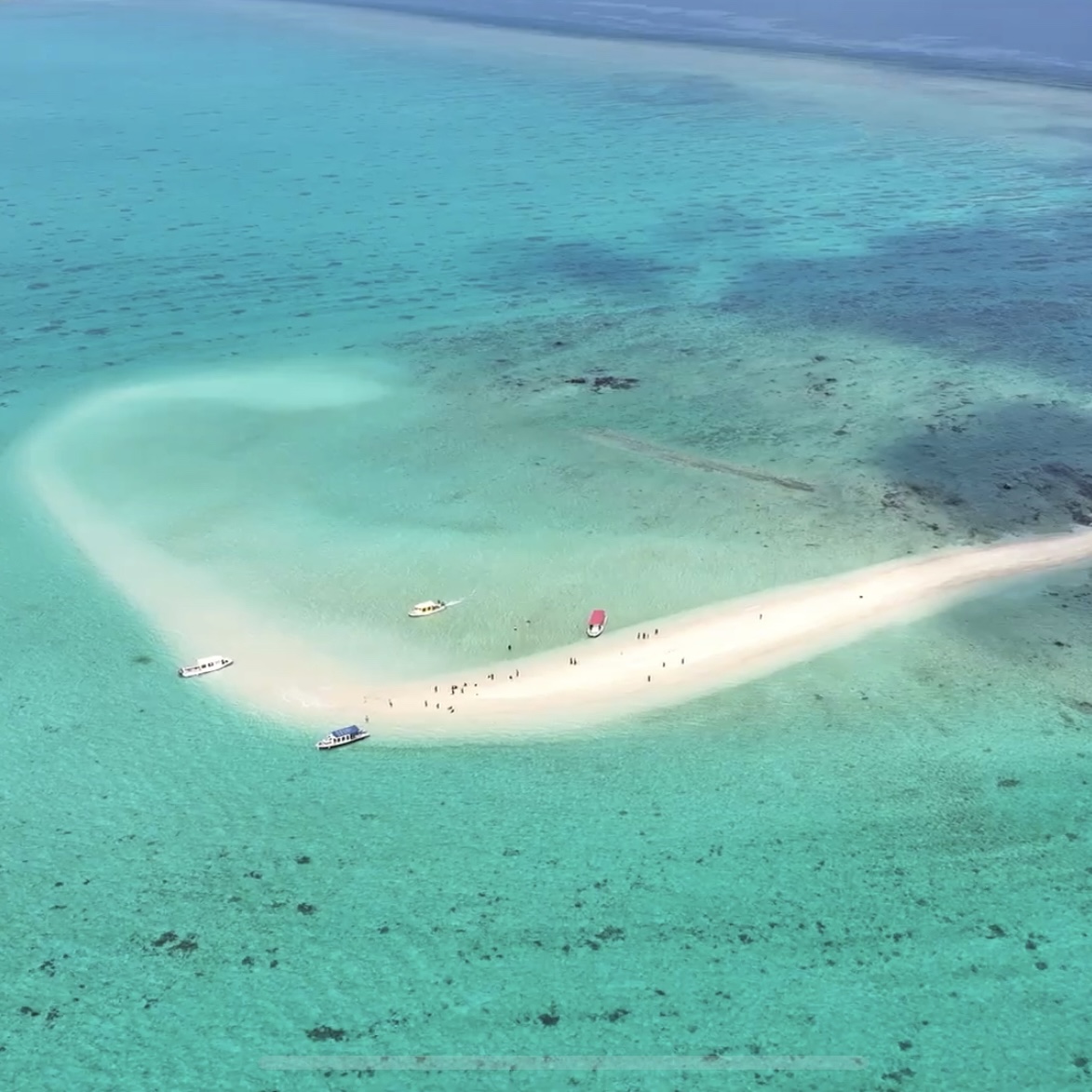 【3歳〜OK】幻の島上陸＆シュノーケル（半日）ボートツアー