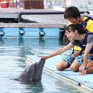 【Motobu Genki Village】Smile Dolphin