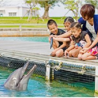 Let's learn about animals! Mogu mogu picnic at【Motobu Genki Village】