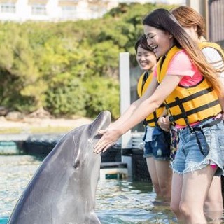 【本部元氣村】與海豚接觸體驗