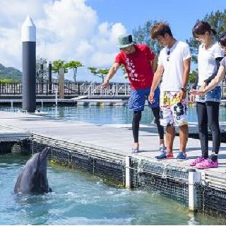 Dolphin Walking Tour at【Motobu Genki Village】