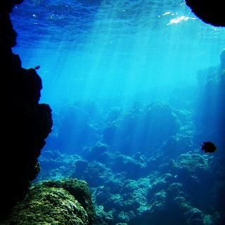 Boat ride to Blue Cave + Experience-based diving. Choose from 4 departures daily!