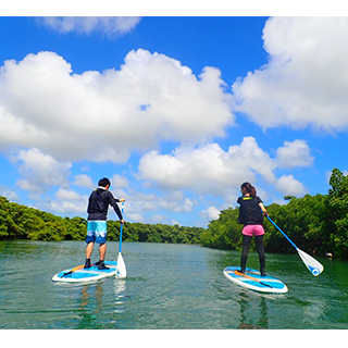 沖繩自然紀念物的玩味之旅！紅樹林的立槳SUP/獨木舟之旅！