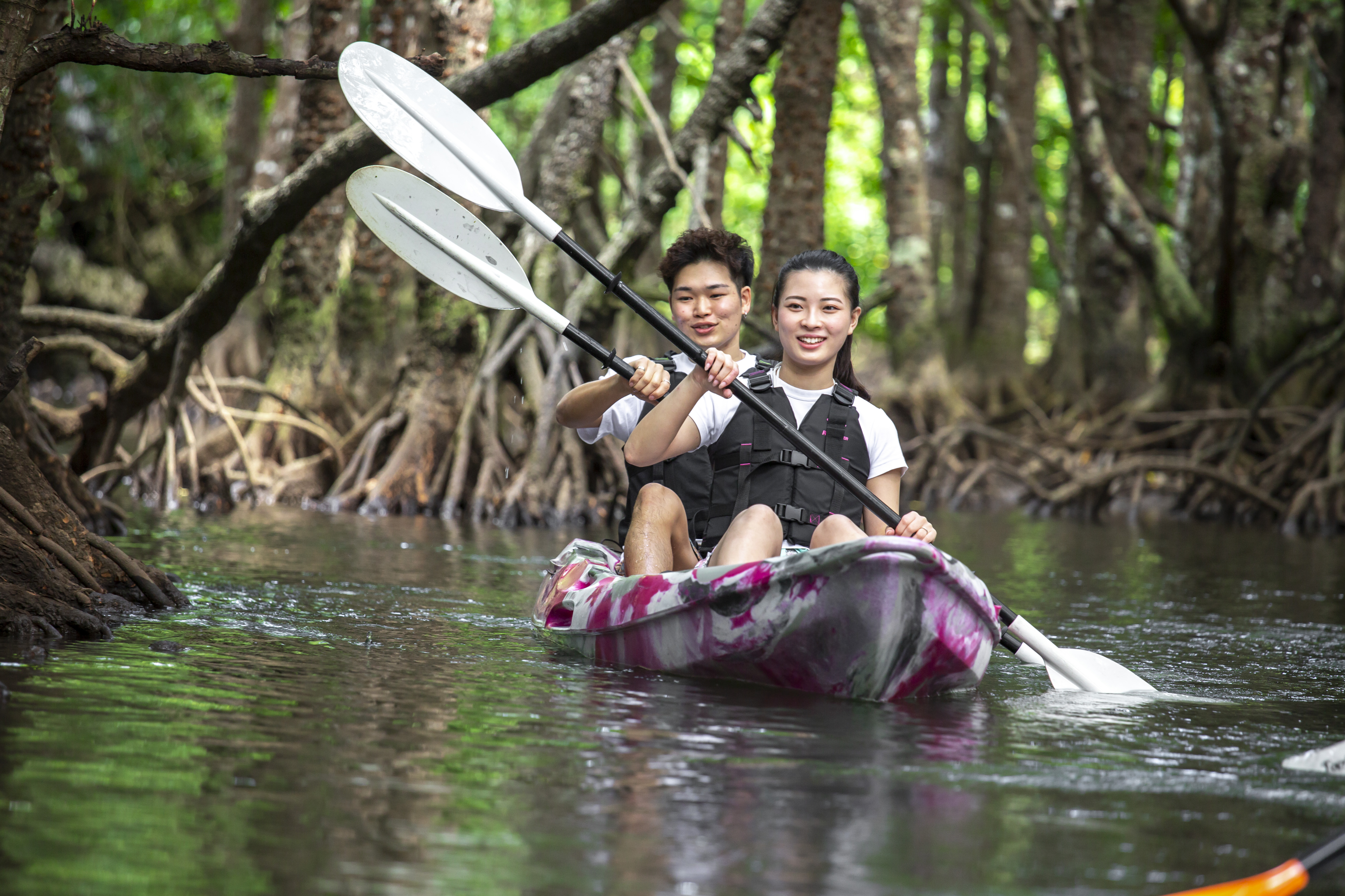 Enjoy natural monuments! Mangrove Forest Tour with SUP or Canoe 