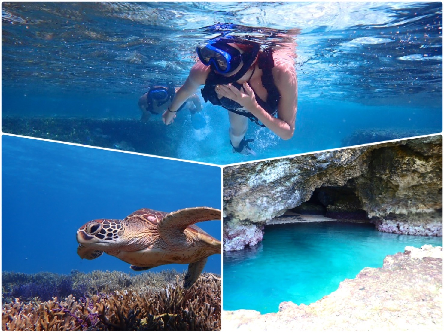 Snorkel in the unexplored area of "Ishigaki Island's Blue Cave"