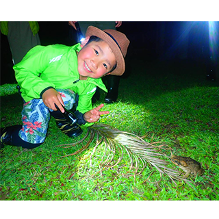 Natural planetarium! Subtropical & Starry Sky Jungle Night Tour