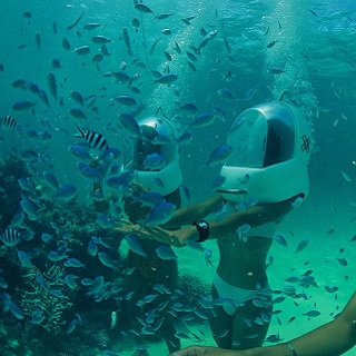 【Packed with Grate Benefits】Enjoy easily accessible underwater strolls! A set of two activities: "Marine Walk" and "Marine Sports."