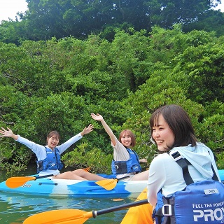 Daily departures! Available from 1 participant! Mangrove Kayak Tour. Easy access, held in the central area of Okinawa. 