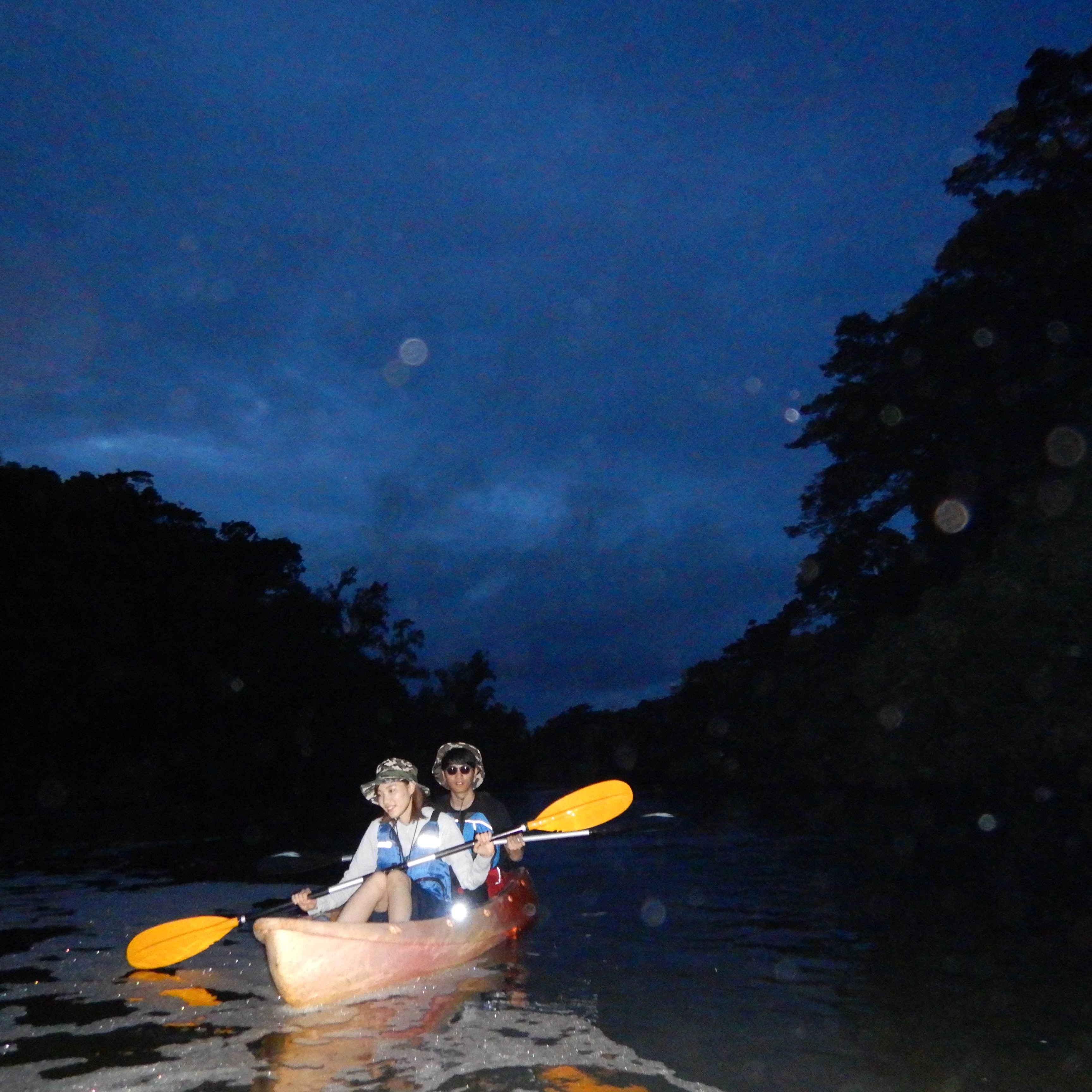 每天出發，1名即成團！在交通便利的中部地區來個「夜間紅樹林獨木舟之旅」吧！贈體驗過程照片！