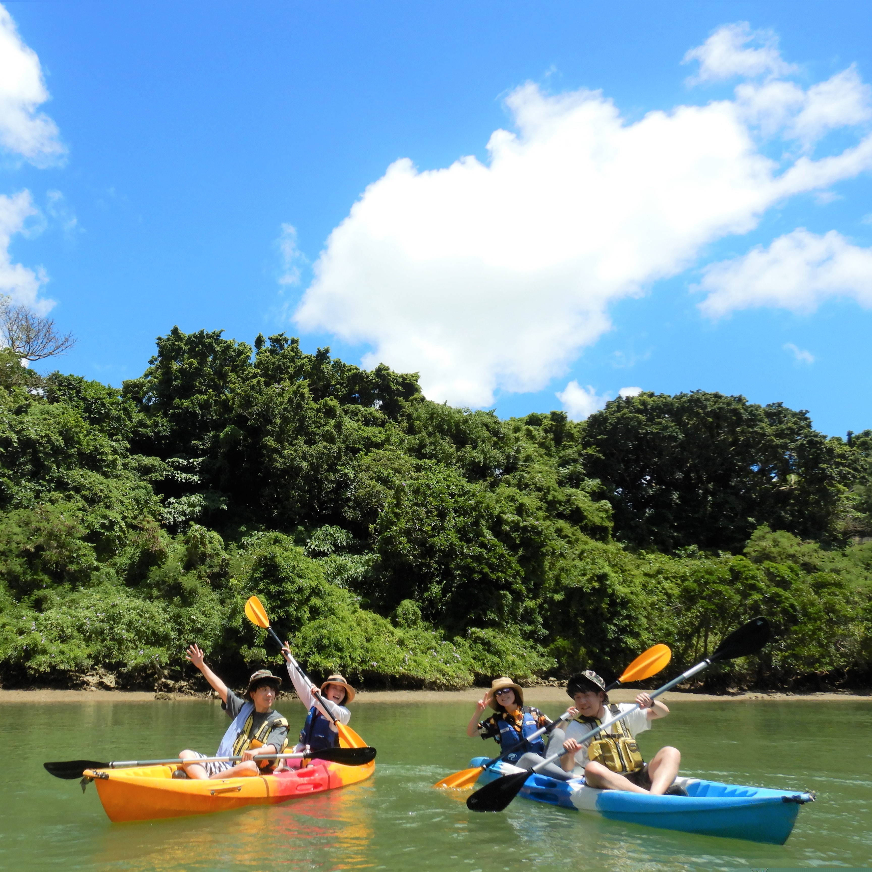 Mangrove Kayak Tour. Good Deal for 4 people or more♪ Easy access, held in the central area of Okinawa【Group discount】