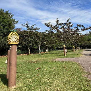 露營車中住宿方案