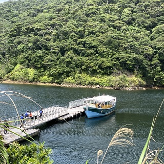 【沖縄・山原】探索世界自然遺產的森林，搭乘自然觀察船遊覽60分鐘