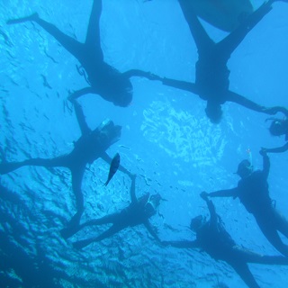 Experiencing Blue Cave Snorkel Tour by taking the exclusive boat with the 8 kinds of benificial goods.