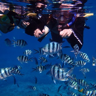 【Departure from Naha】Snorkeling at Kerama islands + one marine sport!