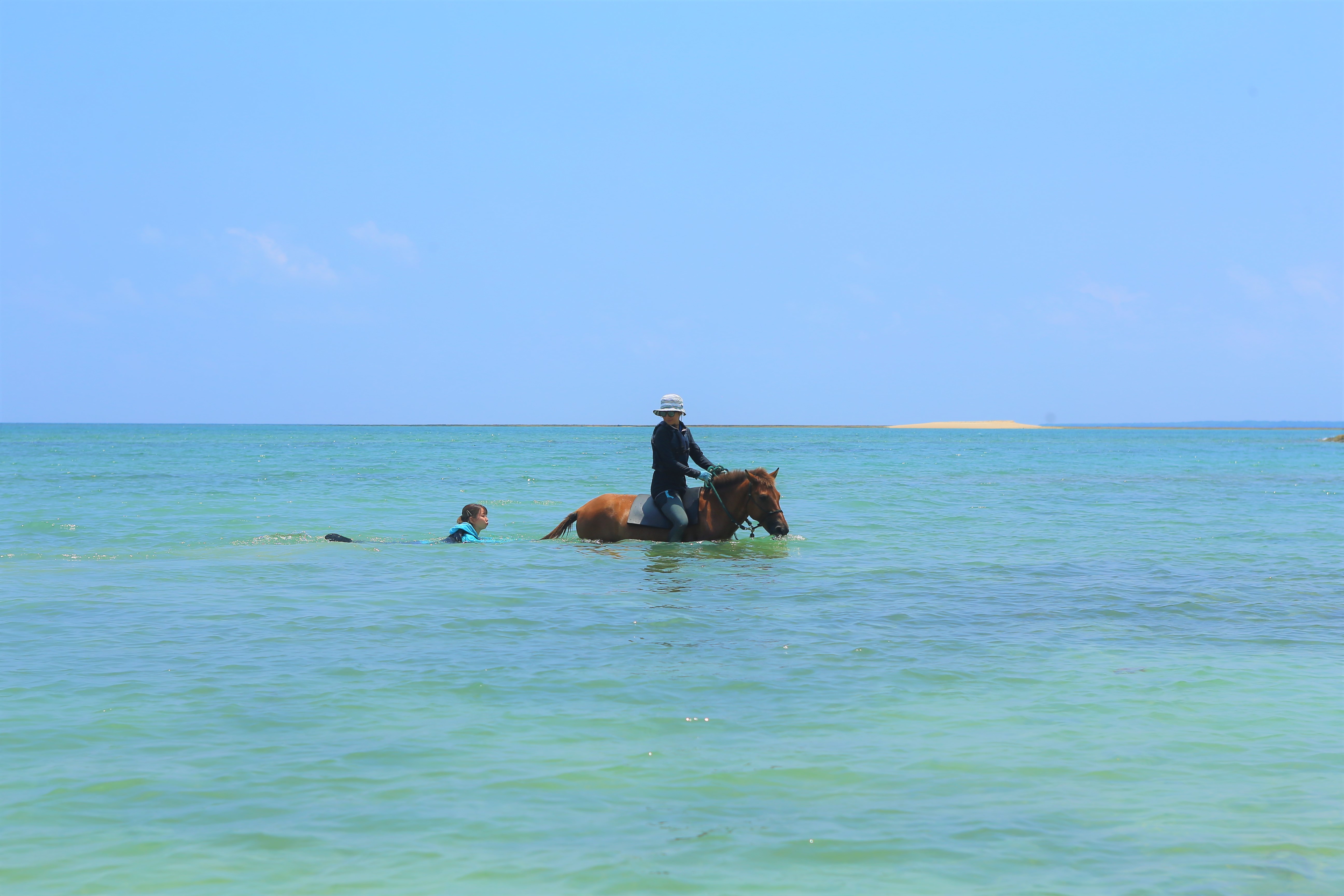 ★複数で参加★【馬と一緒に海に飛び込もう！】温泉割引券進呈　海馬（うみうま）遊び