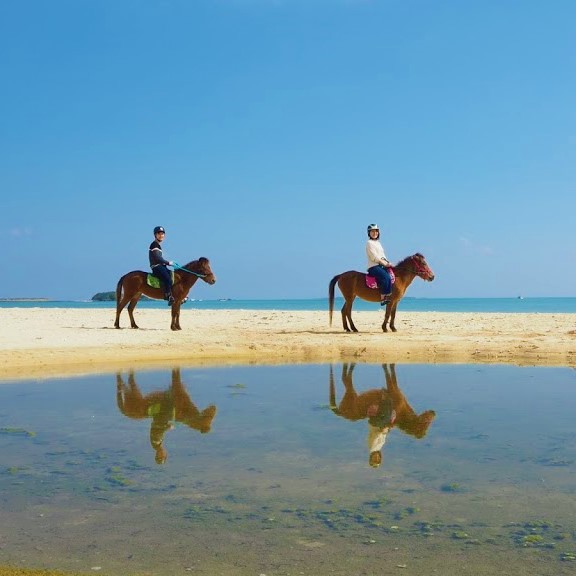 ★お1人参加★　砂浜を乗馬！　ビーチライド