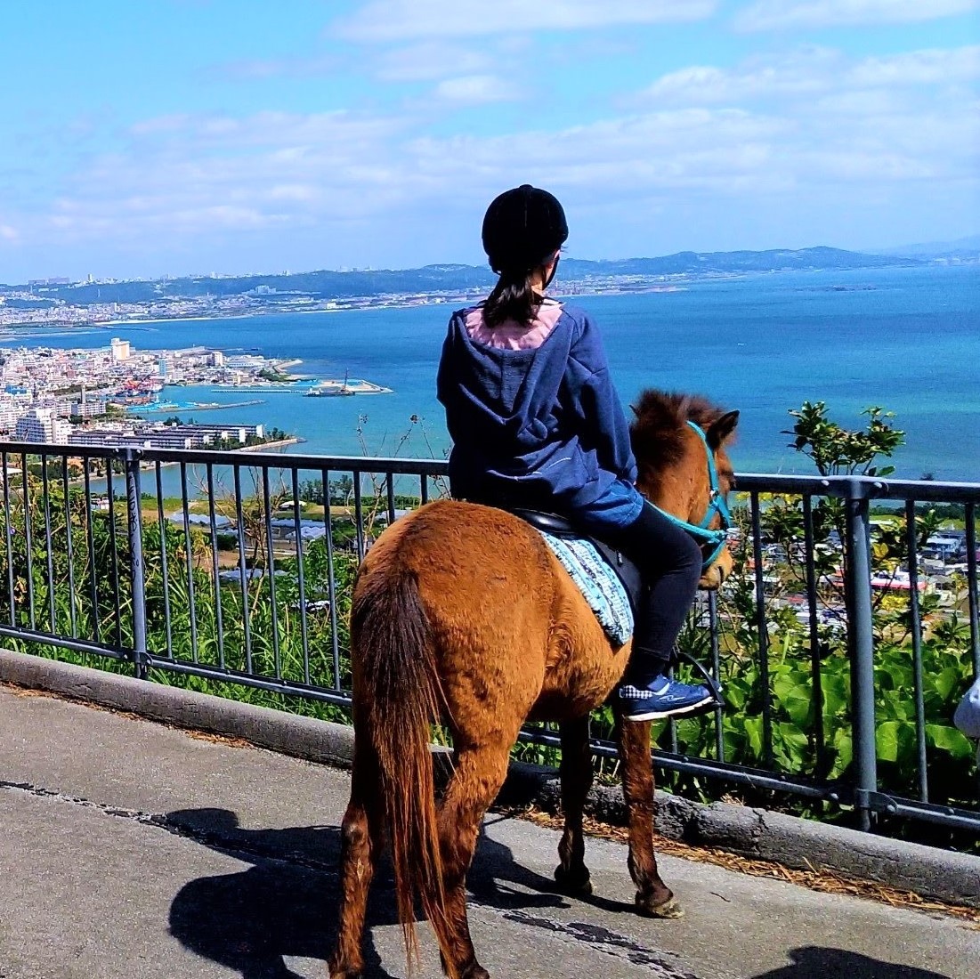 ★ For a couple or a group ★ Walking with Yonaguni Ponies for Stunning Views