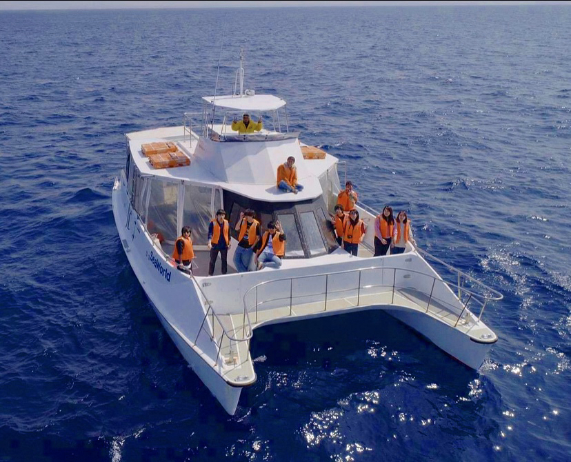 【北部発・ホエールウォッチング】★揺れに強い大型船★写真＆レインコート＆酔い止め薬付き★お得なパラセーリングセットコースあり★