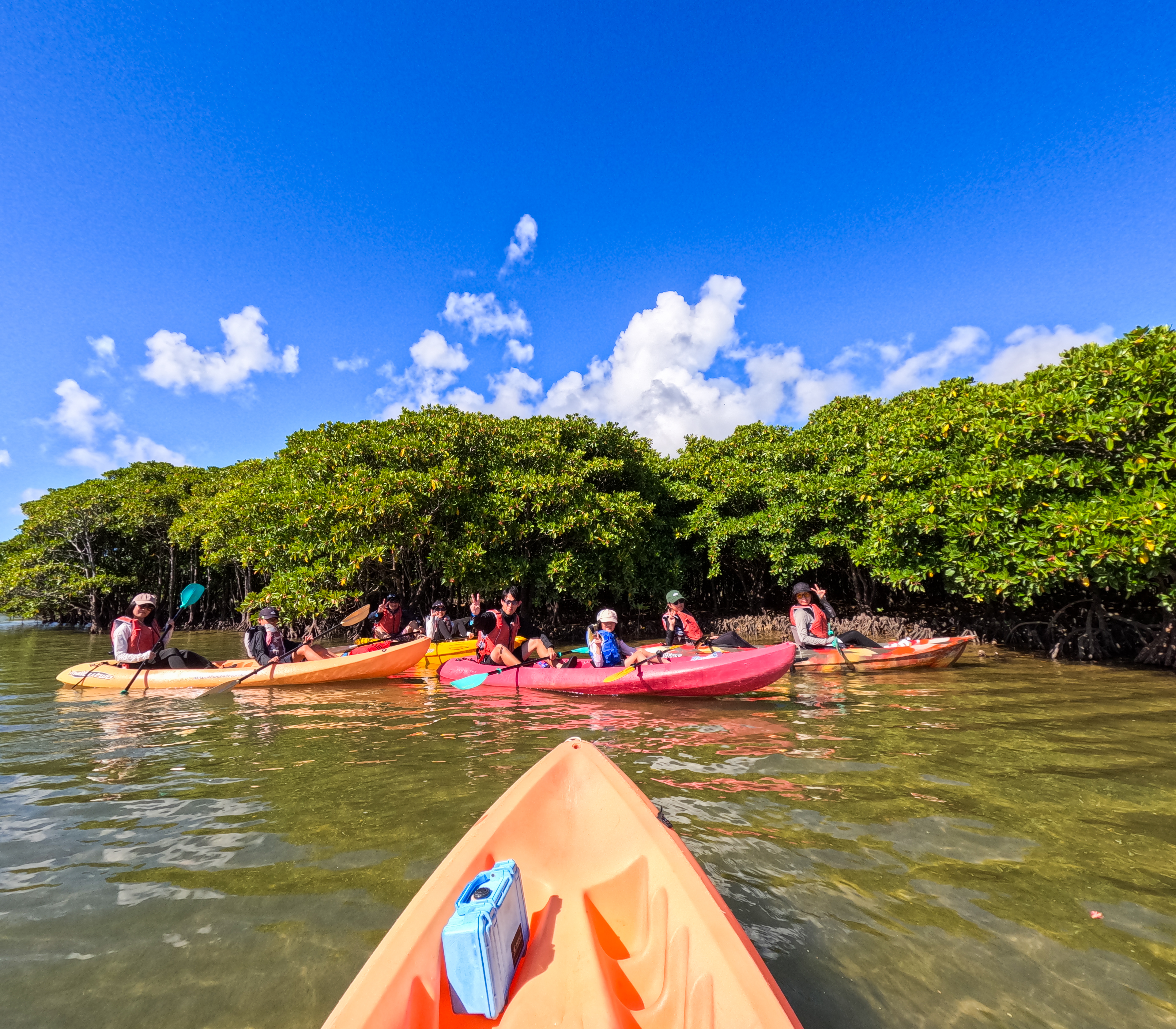 億首川マングローブ探険→海→ビーチ上陸＆散策付の非日常体感ネイチャーツアー！