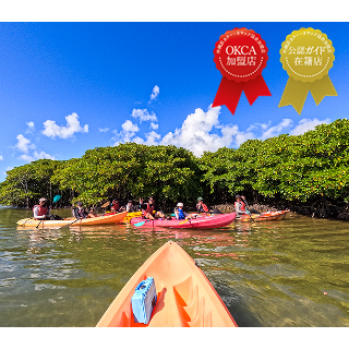 億首川マングローブ探険→海→ビーチ上陸＆散策付の非日常体感ネイチャーツアー！