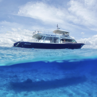 【沖縄・北谷発・半日】満足度重視！！高いのには理由あり 快適ホエールウォッチングツアー ☆返金保証（3/15まで）・参加者特典付き☆