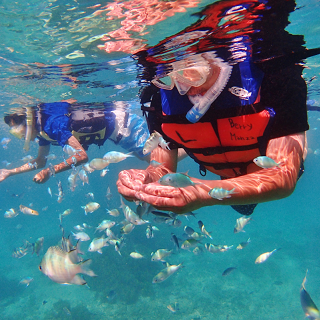 Snorkeling in Okinawa, including Tropical Fish Feeding experience!