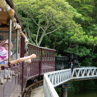 ネオパークオキナワ　入園鉄道セット券