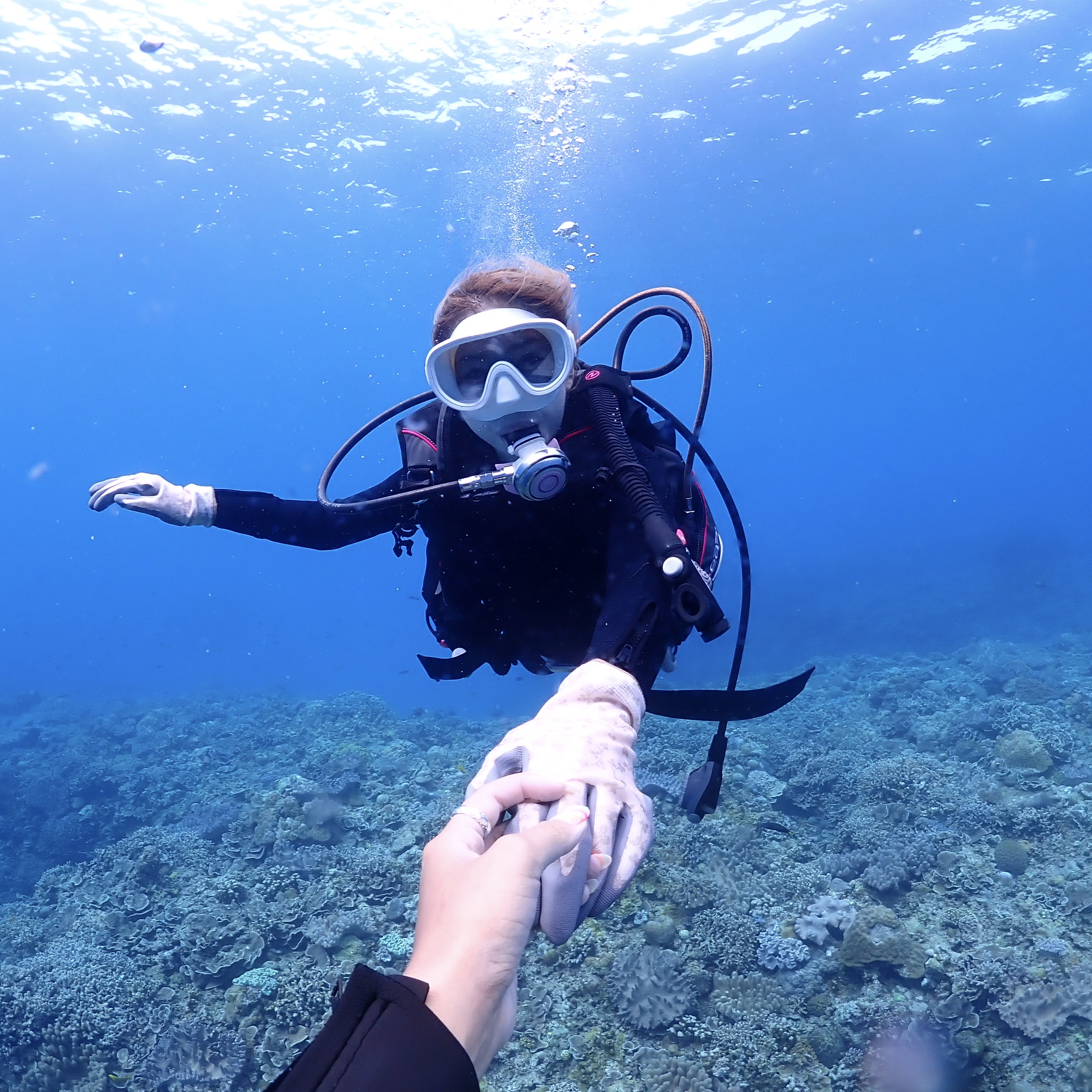 【沖縄・本部町】ゴリラチョップ体験ダイビング♪GoPro動画&写真データ無料サービスꕥお魚えづけ無料！女性・カップル・家族におすすめ！