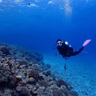 Boat FunDive(2Dives)