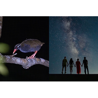 【マクロの世界!太古の森でヤンバルナイトサファリツアー！】美しい星空撮影とヤンバルクイナなどの野生動物を探そう！一眼レフ写真無料♪のプラン詳細