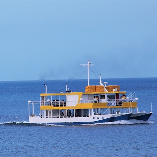 大型水中觀光船「虎鯨號」-從水中展望室欣賞悠游於海中的熱帶魚！