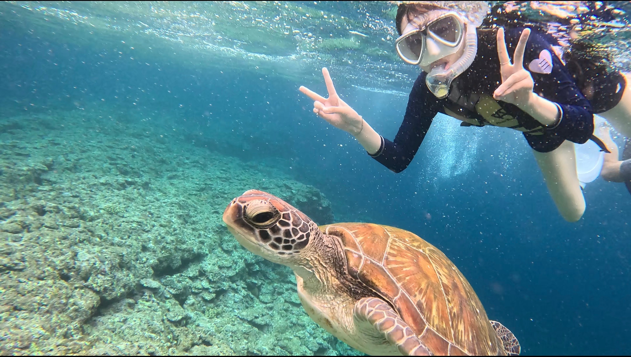 青の洞窟ビーチから出発シュノーケリング！99%ウミガメが見れる♪《GoPro撮影付き》カップル・ファミリーおすすめ