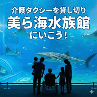車椅子のまま乗車できる！介護タクシーを貸し切って美ら海水族館に行こう