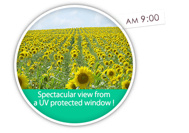 Spectacular view from a UV protected window !