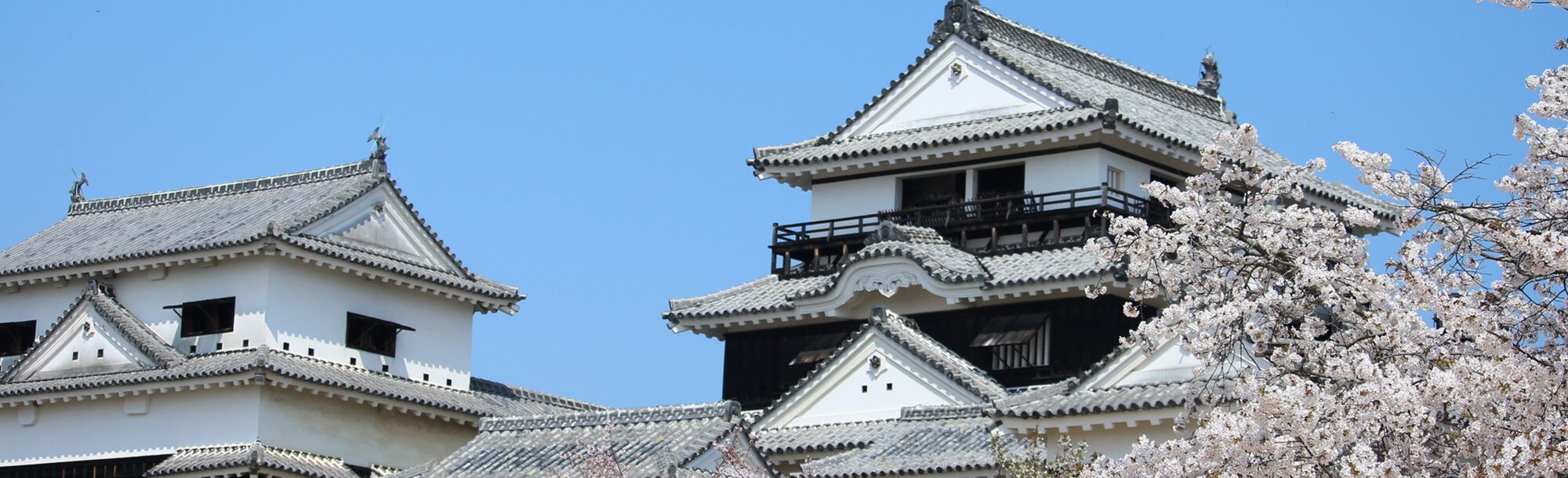 愛媛県観光