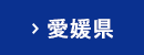 愛媛県