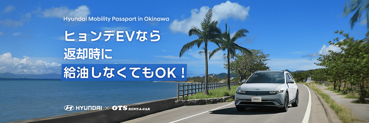 Hyundai Mobility Passport スペシャルプランPC