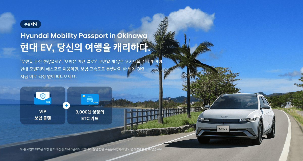 Hyundai Mobility Passport SPCIAL PLAN PC