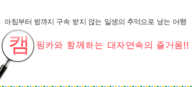 아침부터 밤까지 구속 받지 않는 일생의 추억으로 남는 여행 캠핑카와 함께하는 대자연속의 즐거움!!